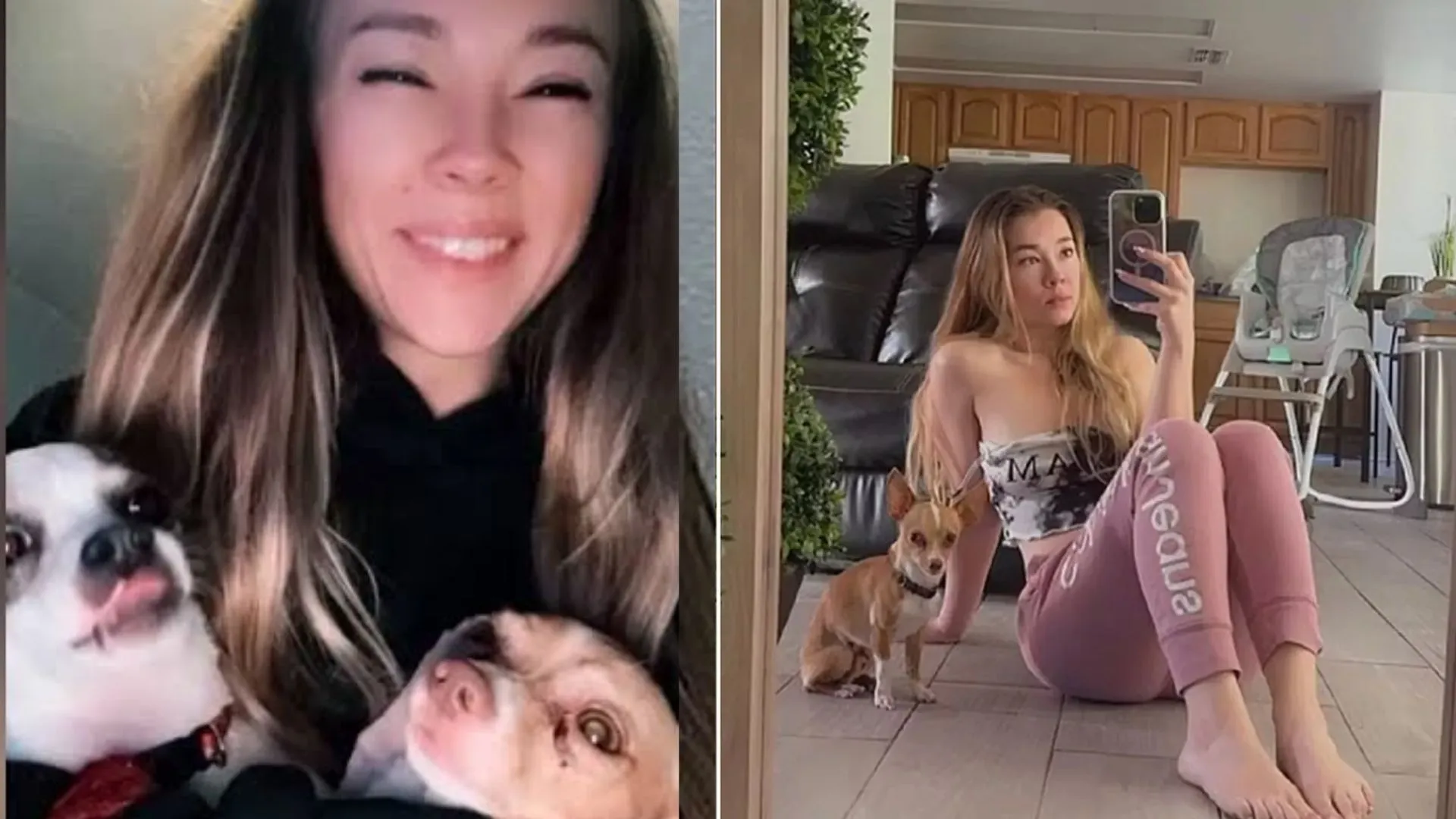 Florida Influencer Shares Videos of Having Sex With Pet Chihuahua, Arrested