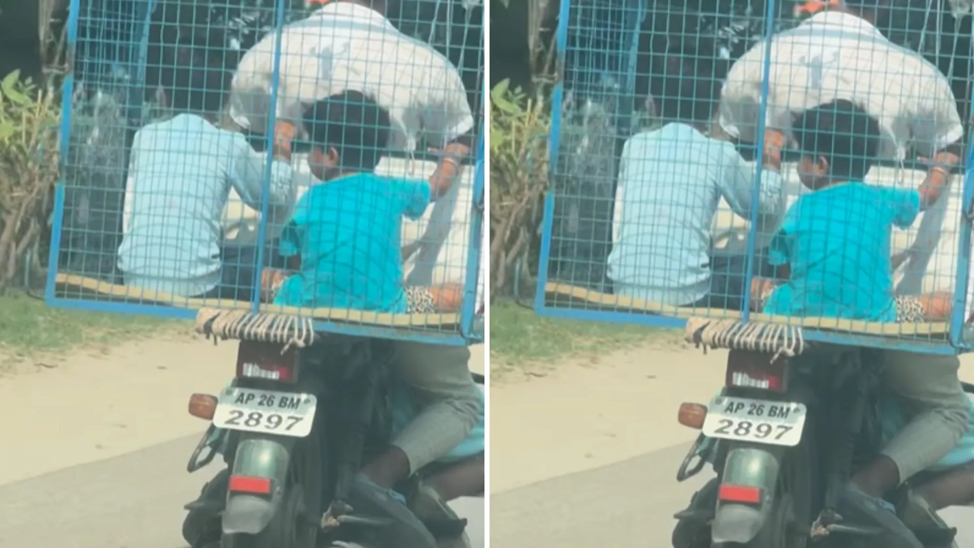 Bizarre Incident Caught On Cam: Telangana Man Puts His Two Kids In A Poultry Cage While Riding A Motorcycle