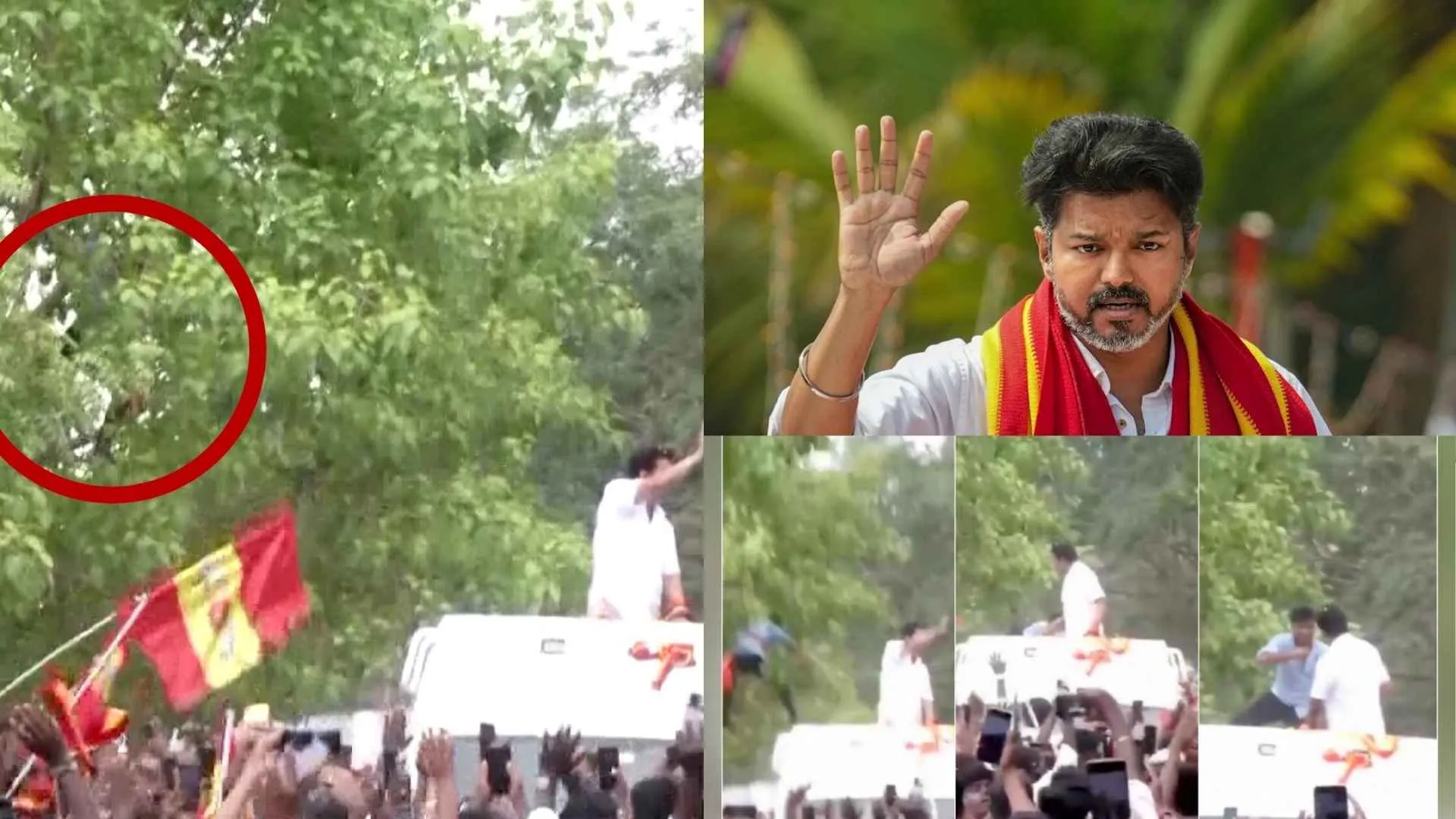Watch | Fan Jumps From Tree Onto Vijay’s Vehicle During Coimbatore Campaign