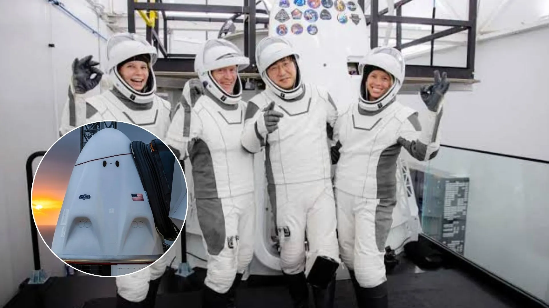 SpaceX To Launch First Crewed Mission To Polar Orbit With Unique Mushroom Experiment