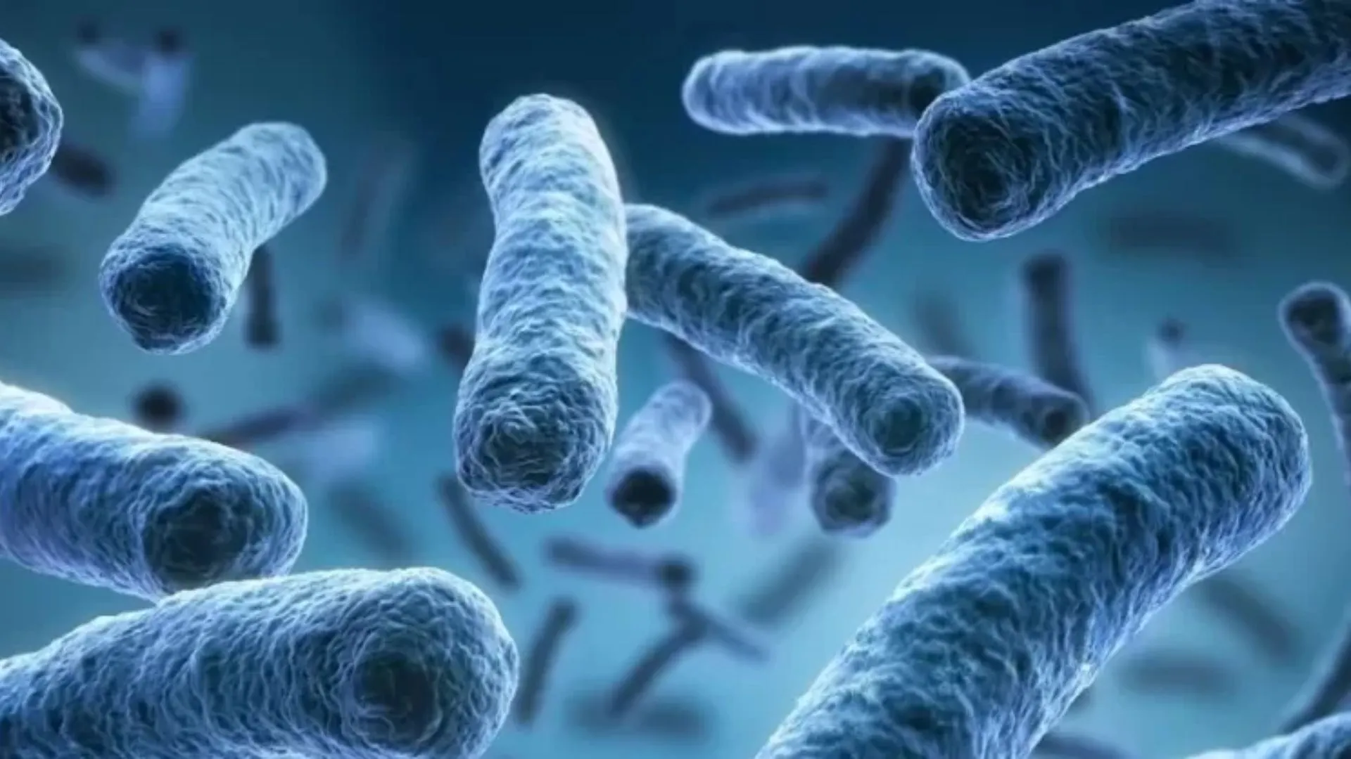 One Dead, 12 Infected In Legionnaires Outbreak Linked To Sydney CBD Cooling Tower