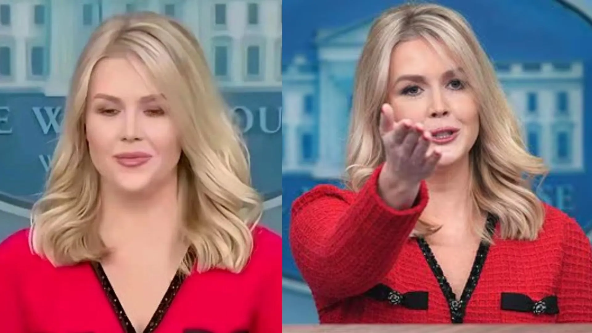 Chinese Diplomat Mocks White House Press Secretary For Wearing ‘Made In China’ Lace Dress, Social Media Reacts