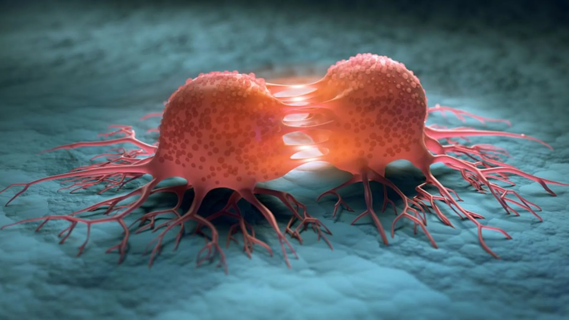 4 Daily Habits To Sharply Reduce Cancer Risk, According To A Survivor Doctor