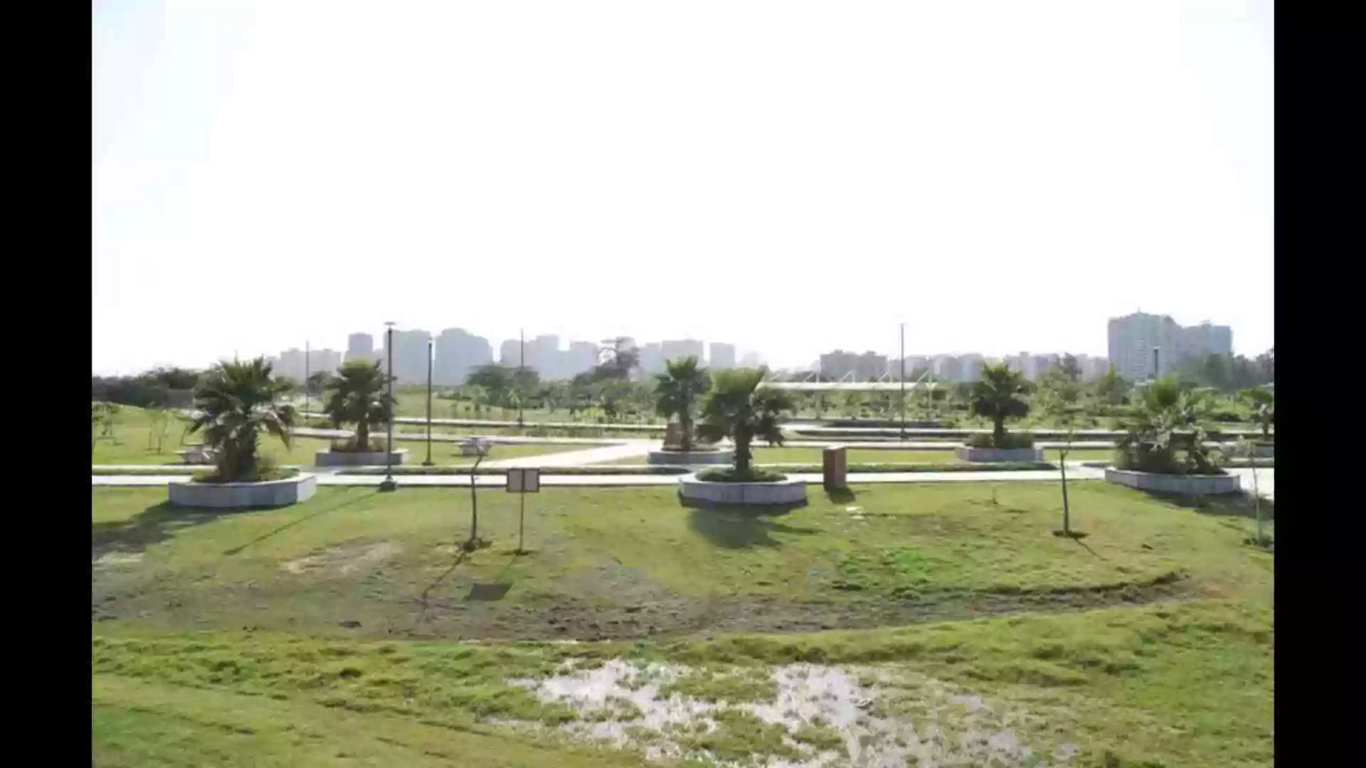 Sunset Safari And Deer Park In Noida? Noida Authority Brings in Experts for Planning