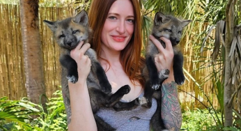 Who Was Mikayla Raines? Beloved Save A Fox Founder And YouTuber Dies By Suicide At 29