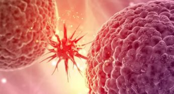 Is There A Hope For Cancer Treatment? Check Out The Recent Breakthroughs