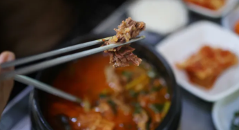 Dogs Can’t Be Killed In South Korea Anymore, Here’s WHY