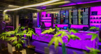 Thailand to Recriminalise Cannabis, Leaving $1 Billion Industry in Turmoil