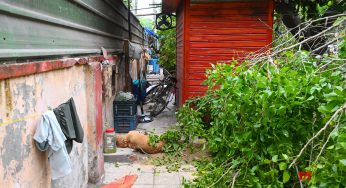 Delhi Rains: Two Men, Dog Electrocuted In RK Puram