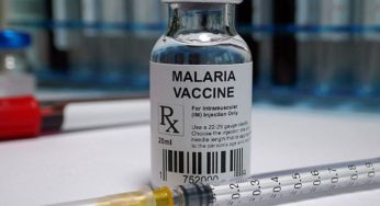 Malaria Vaccine To Be Available For Children Of These Countries For Less Than 5 Dollars Or About 430 rupees