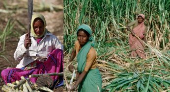 Uteruses Of 843 Women Sugarcane Labourers Forcibly Removed In Maharashtra’s Beed: Shocking Health Department Report Reveals