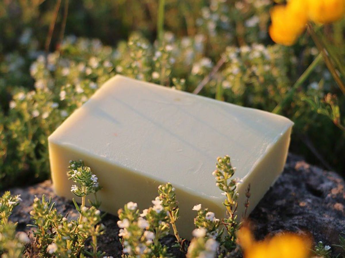 Practice regular cleansing