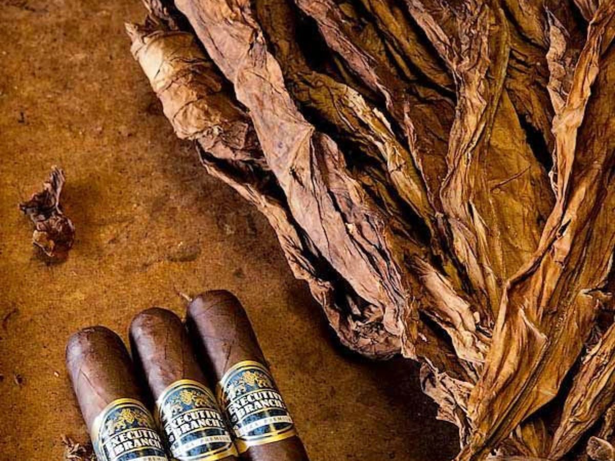 Reduced Inflammation