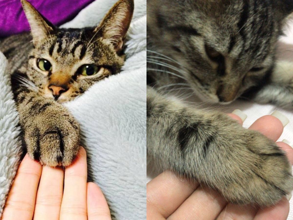 Stay calm and assess the situation