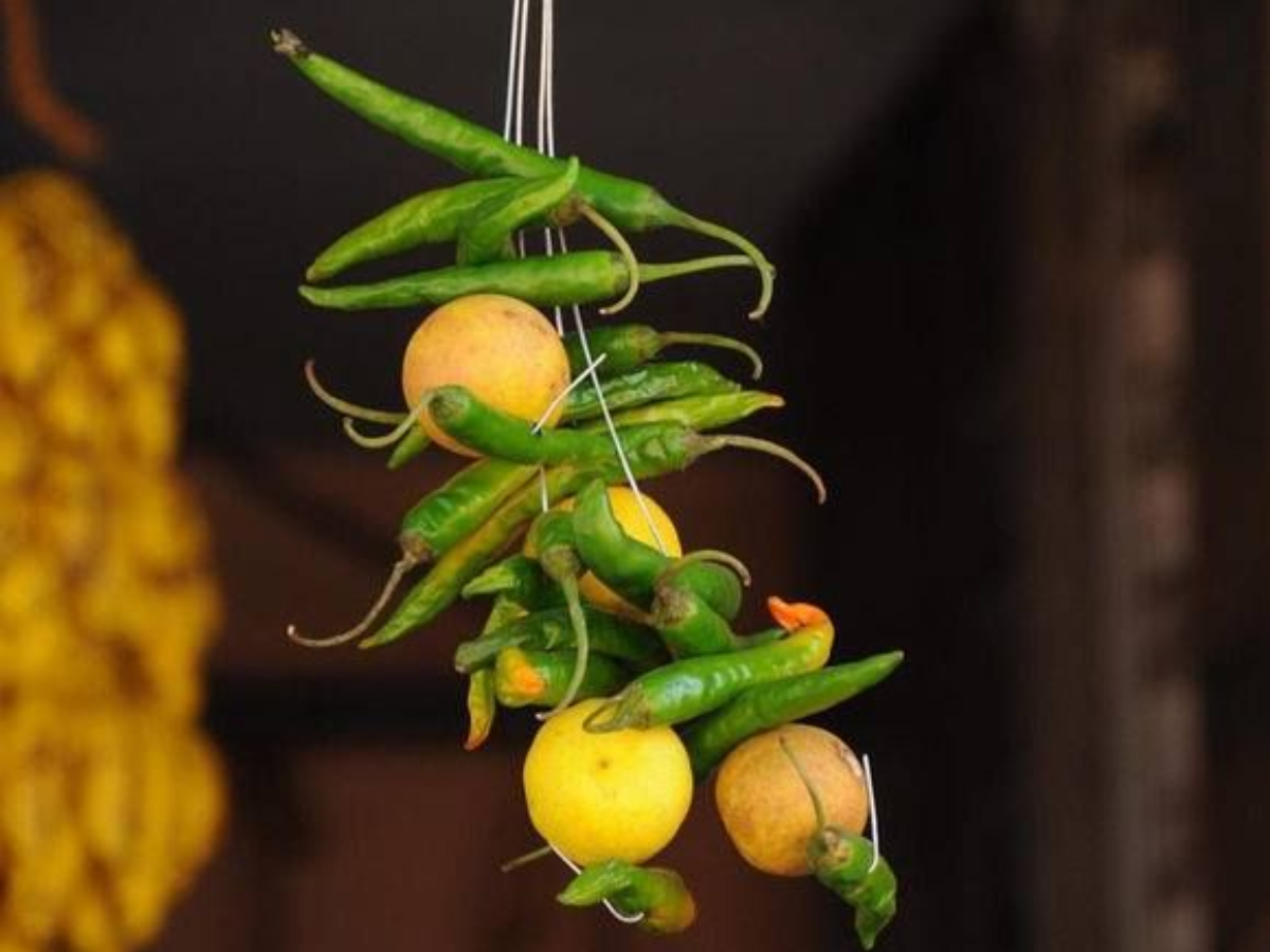 A Street Side Guardian