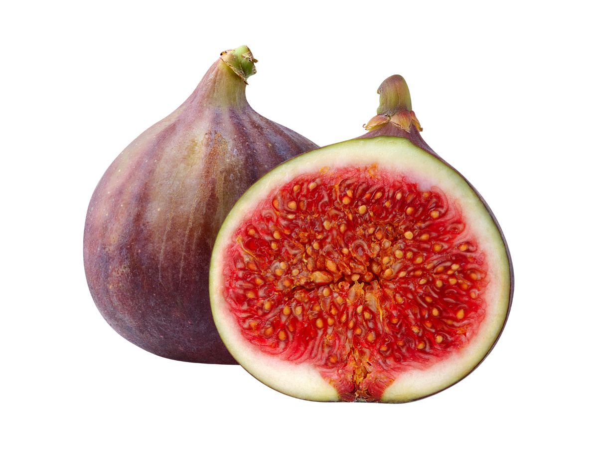 May Help in Blood Sugar Management