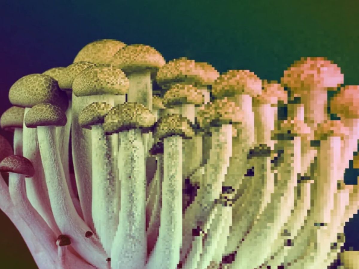 The Rise of Digital Tribes