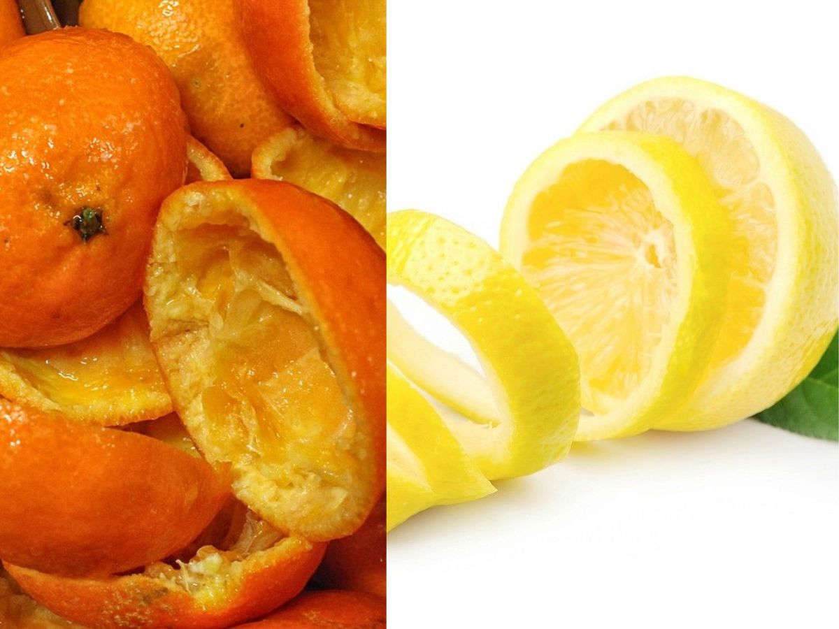 Citrus peels