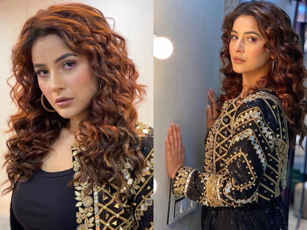 Vicky Vidya Ka Woh Wala Video (2024)