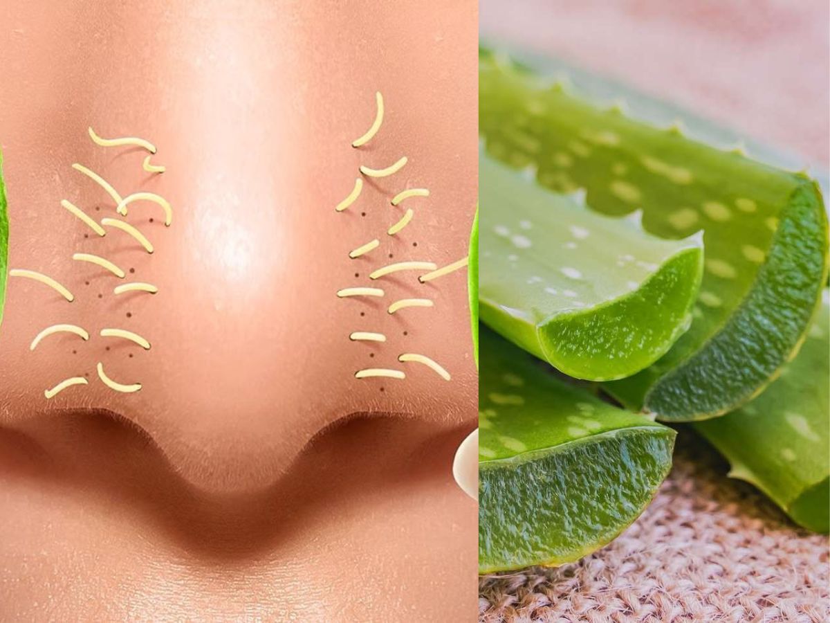 Natural skin regenerator