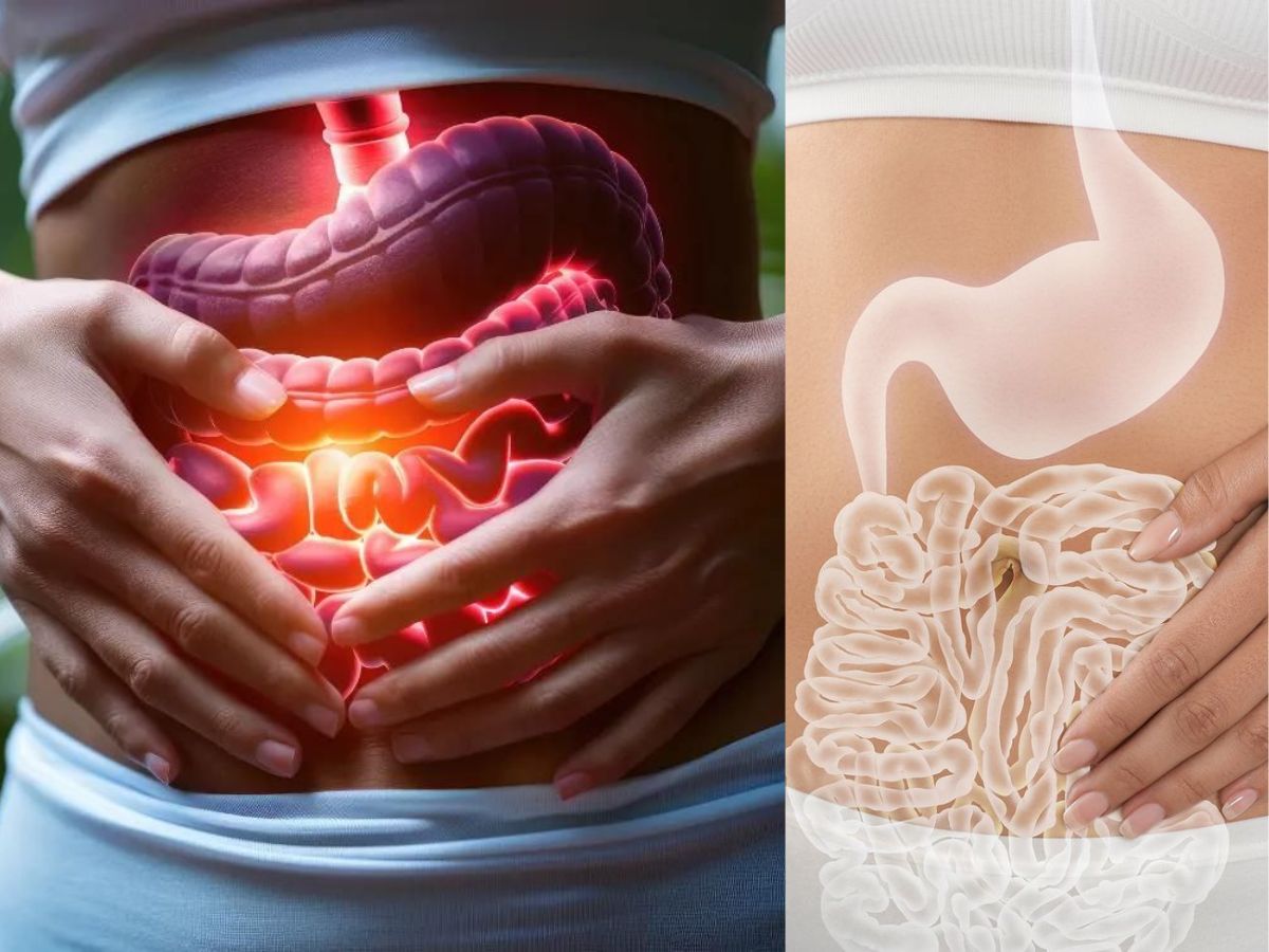 Boosts digestive health