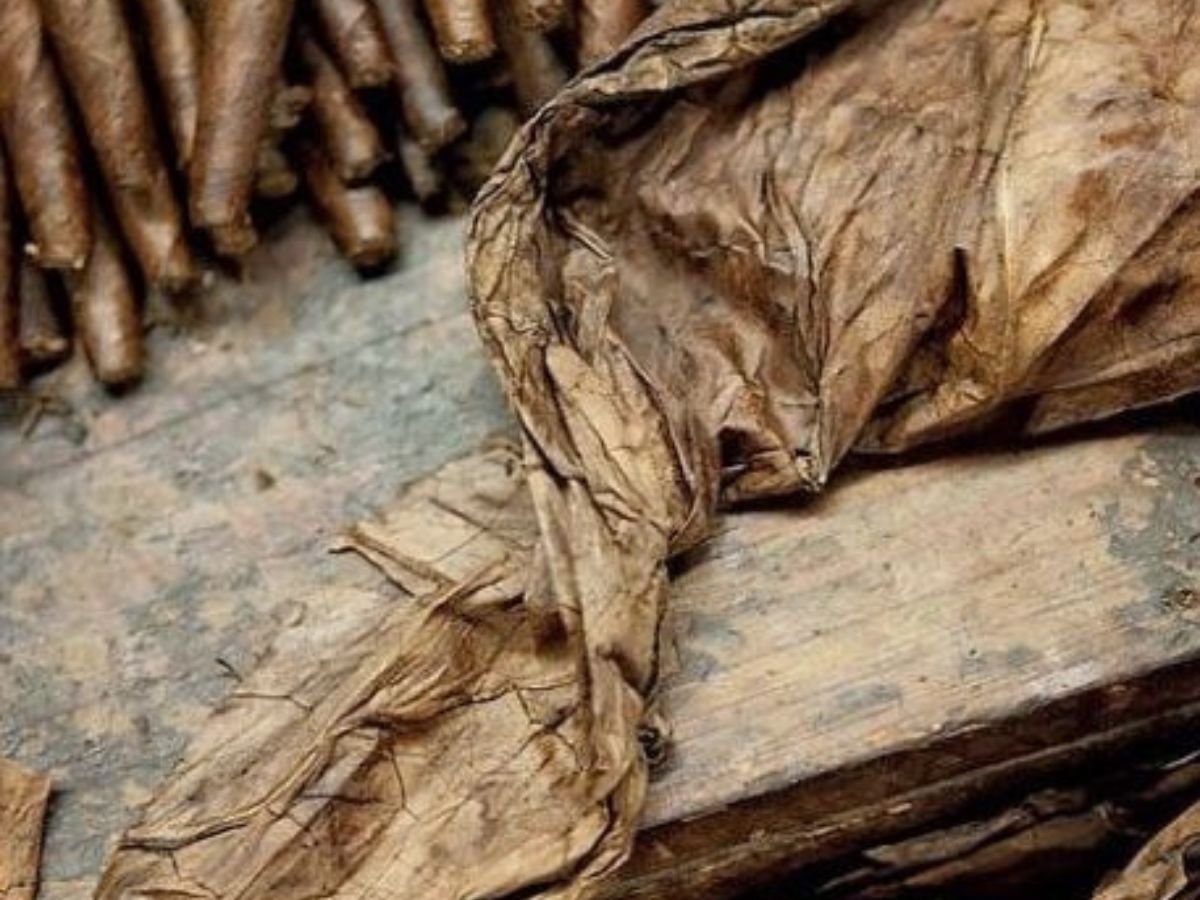 Increased Oxygen Levels