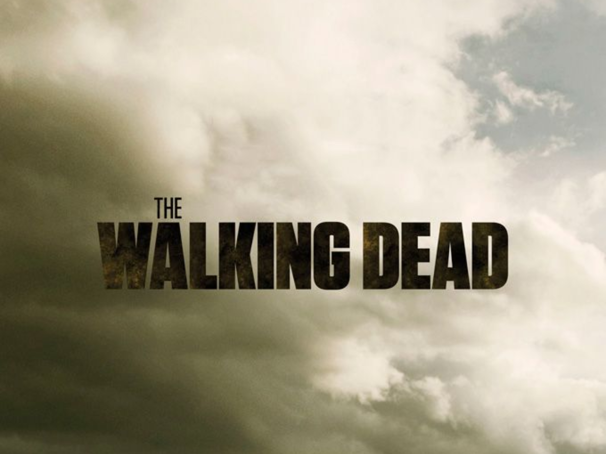 The Walking Dead (AMC / Netflix)