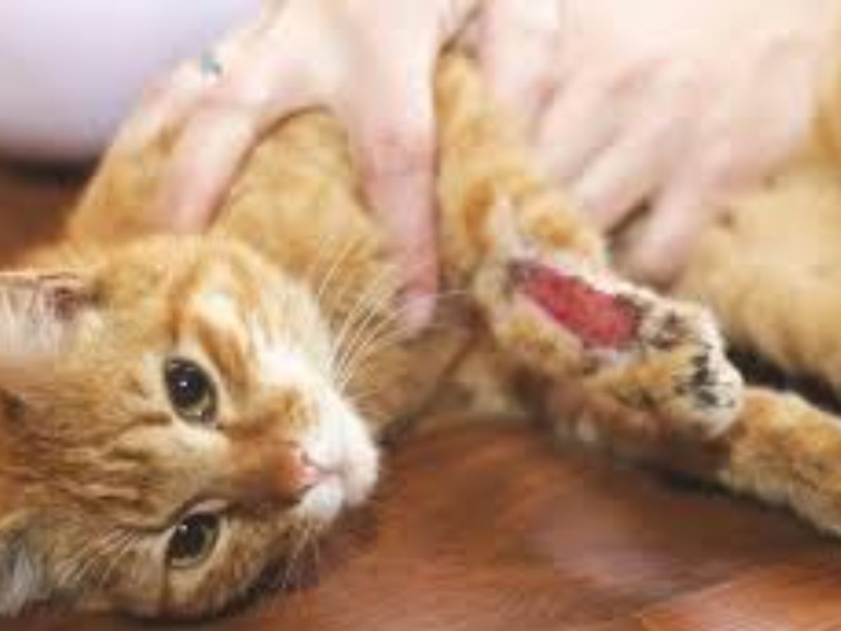 Control bleeding immediately