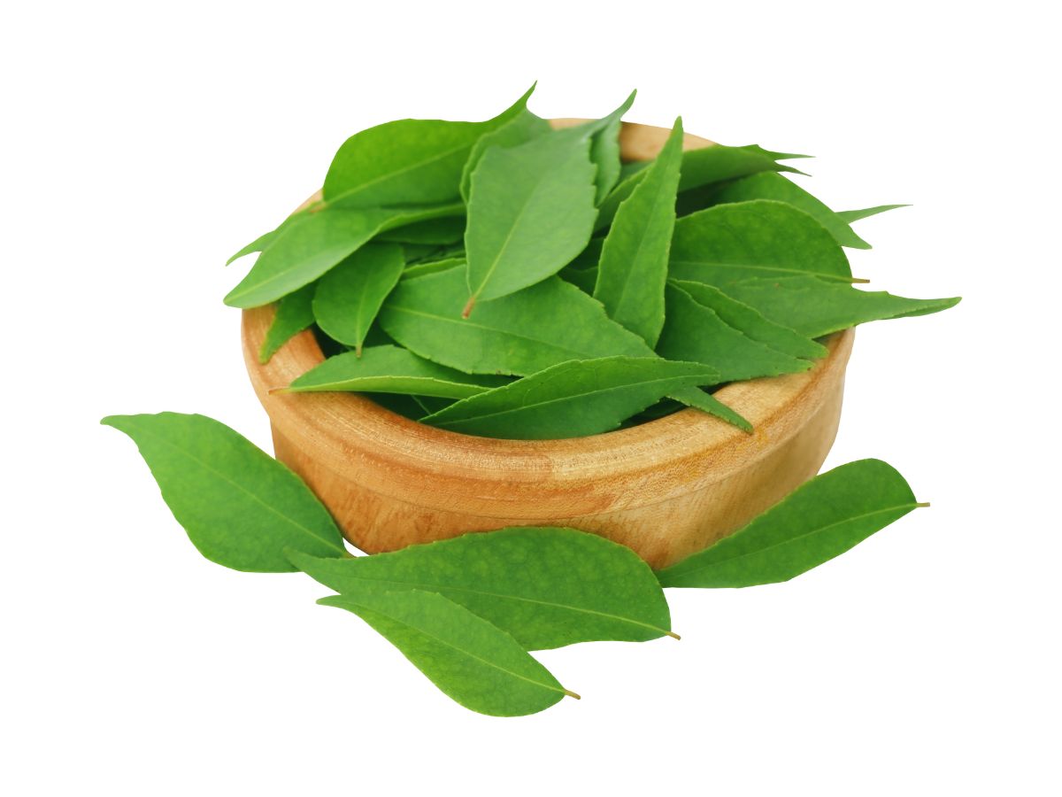 Stimulates Digestion and Gut Health