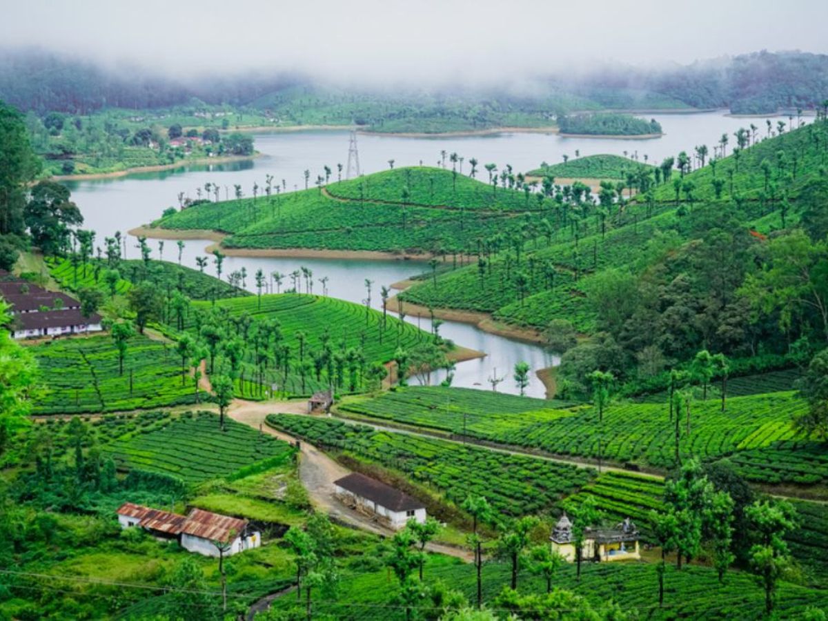 Valparai, Tamil Nadu