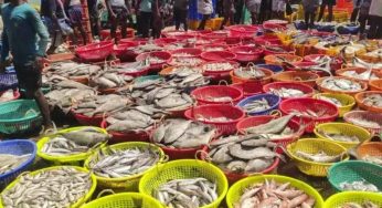 Tamil Nadu Eyes $5 Billion Seafood Export Boost With New Infrastructure Plan