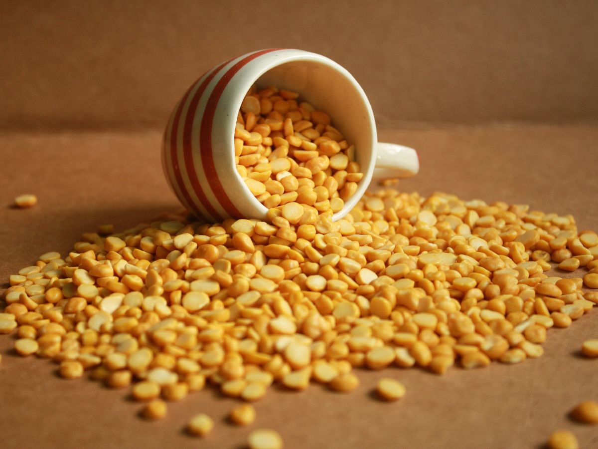 Lentils (Dal): Protein for the Masses