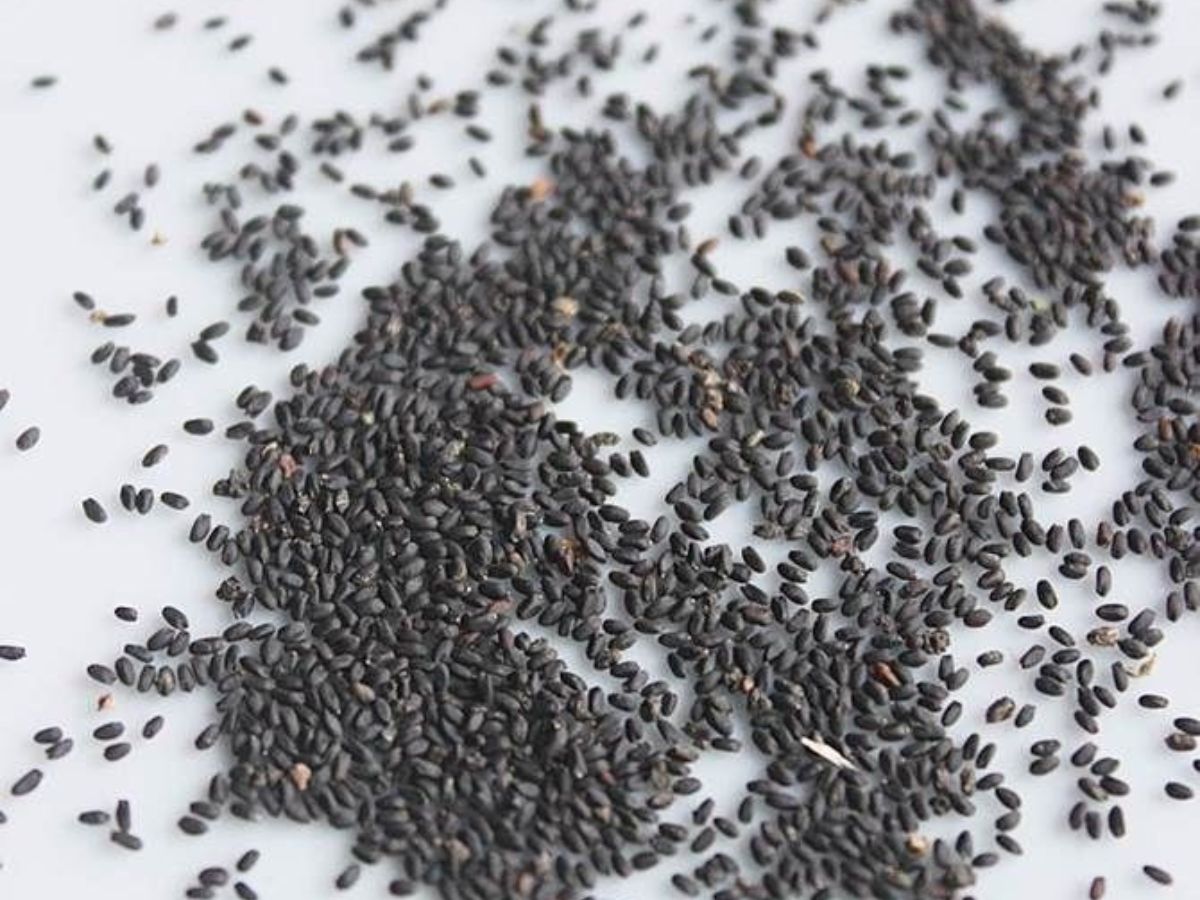 Reducing Bloating and Cravings