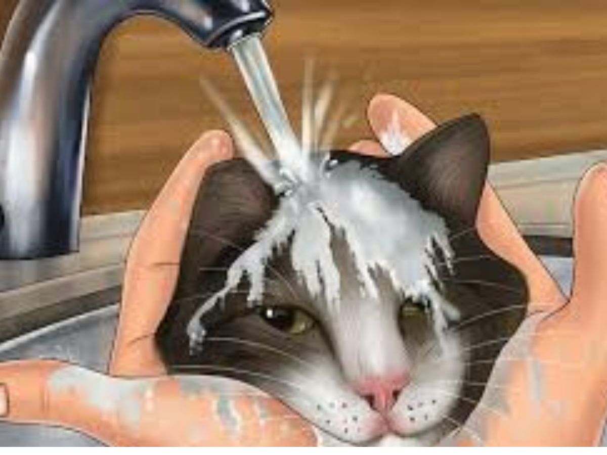 Treat burns with cool water