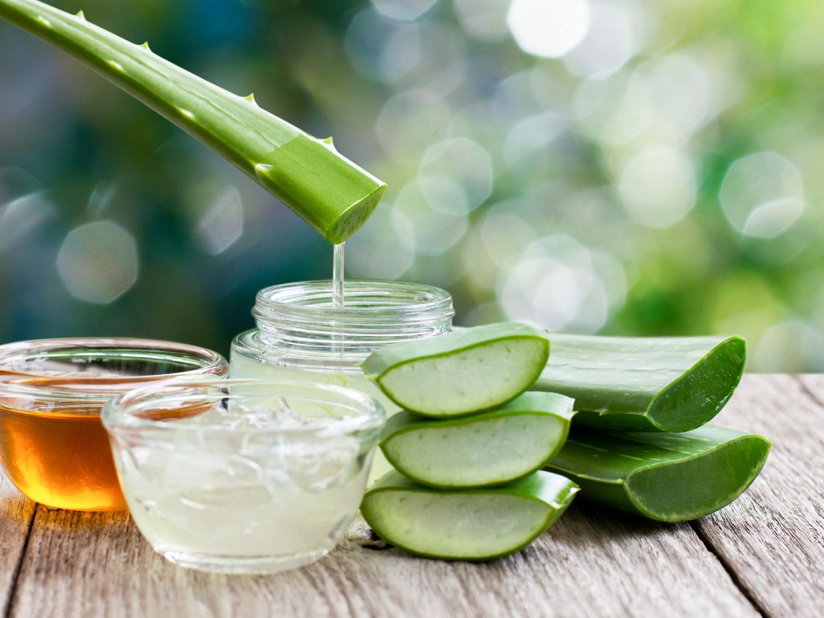Aloe Vera and Coconut Oil