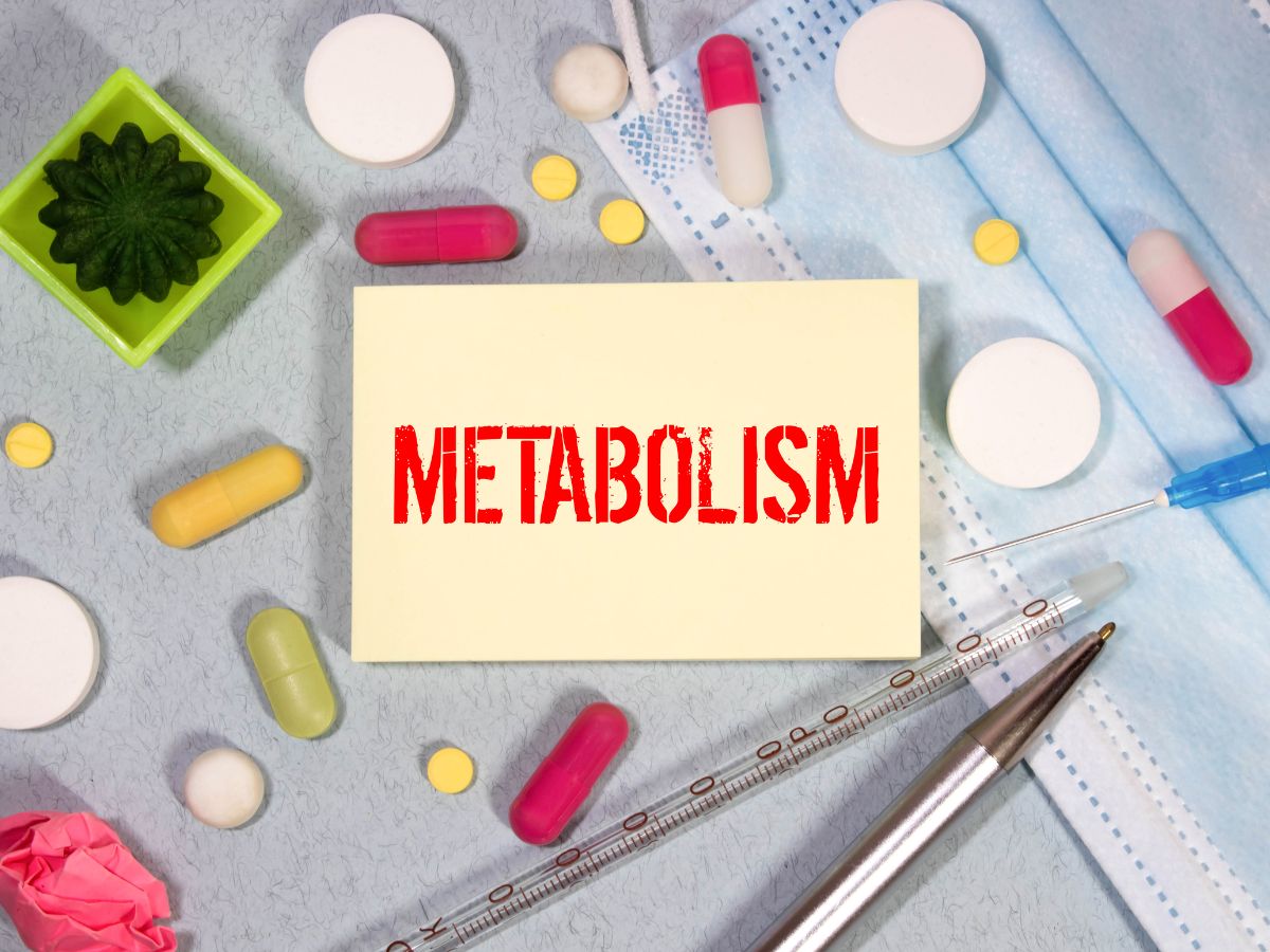 Slower Metabolism