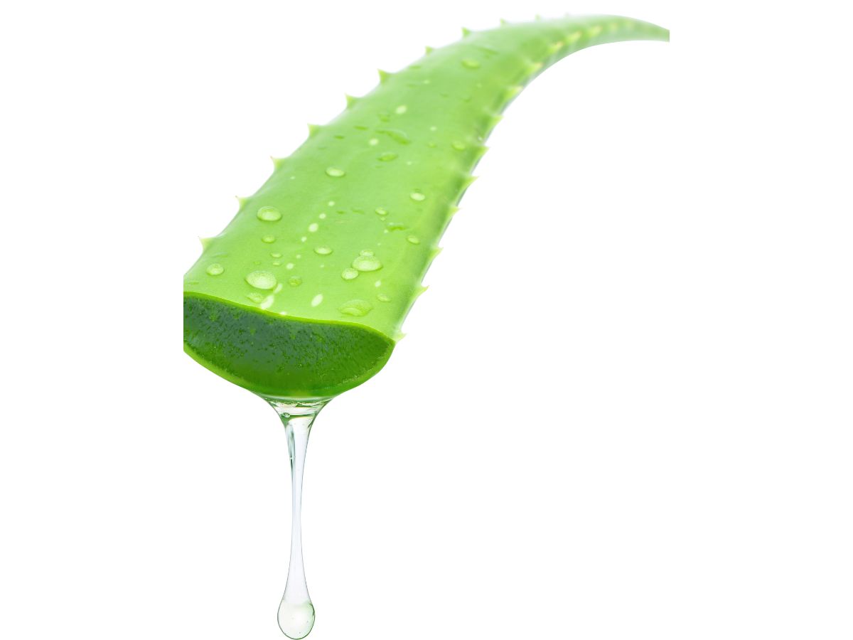 Aloe Vera and Turmeric Brightening Pack