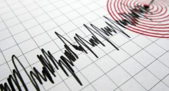 6.5 Magnitude Earthquake Strikes Indonesia’s Tanimbar Islands — Is There A Tsunami Threat?