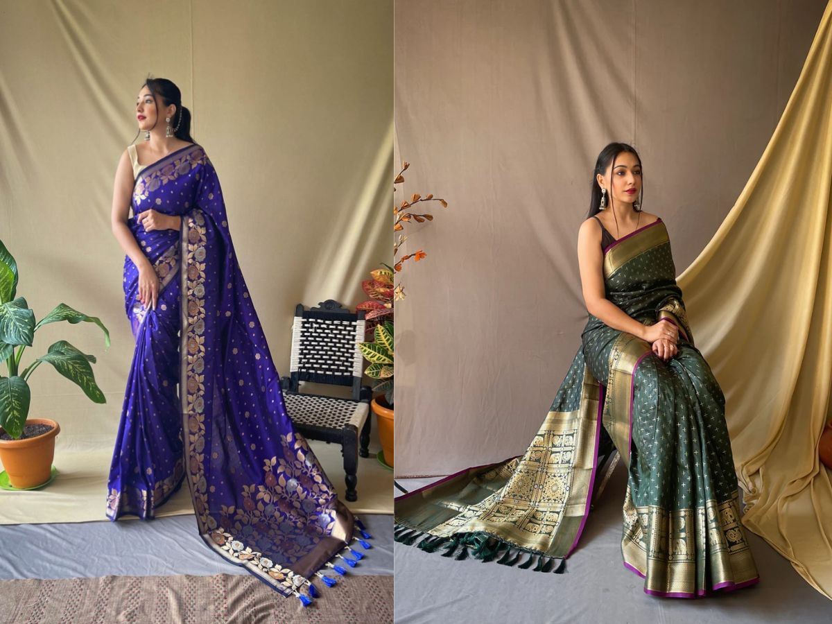 Statement pallu style