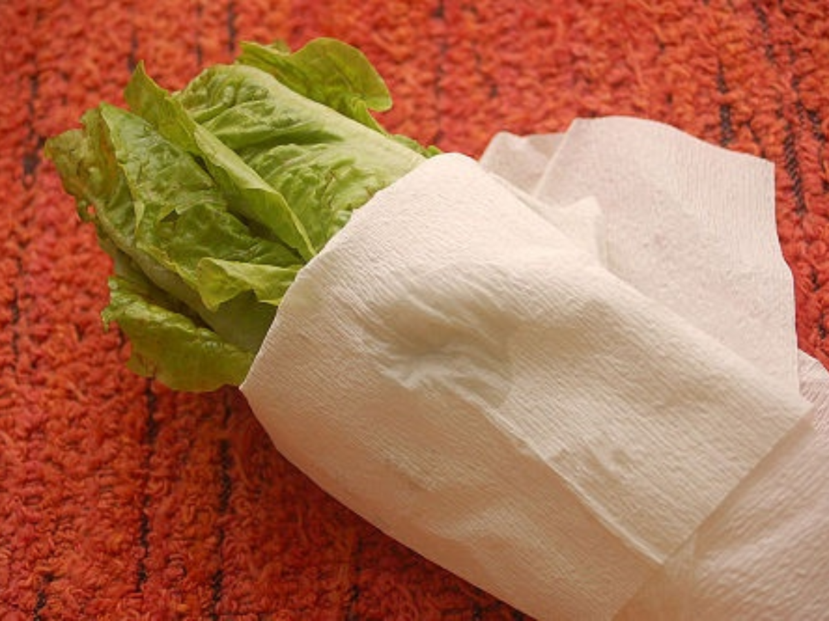 Wrap Lettuce In Paper Towel