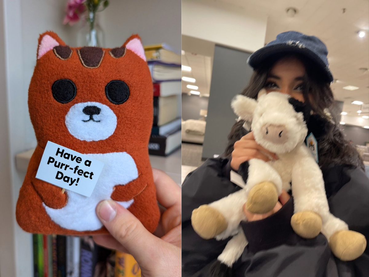 Stuffed Animal Holding a Message