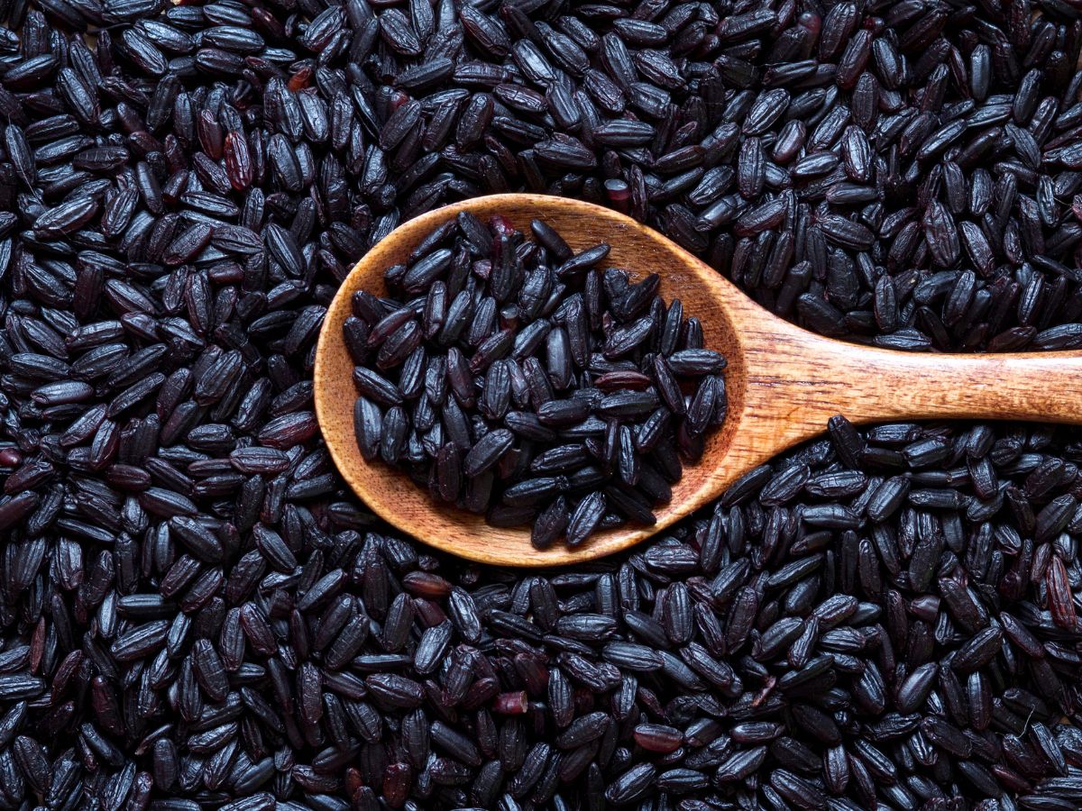 Kala Bhaat (Fermented Black Rice)