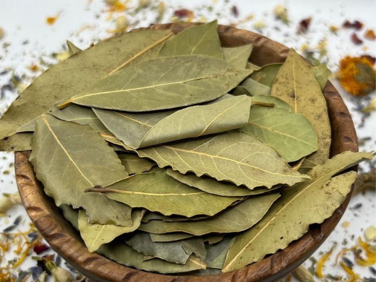 Bay leaves