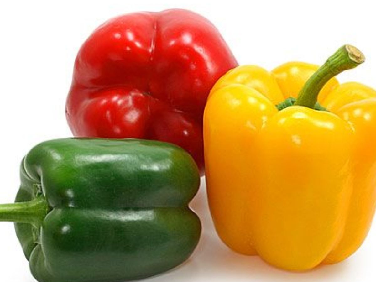 Green Bell Peppers