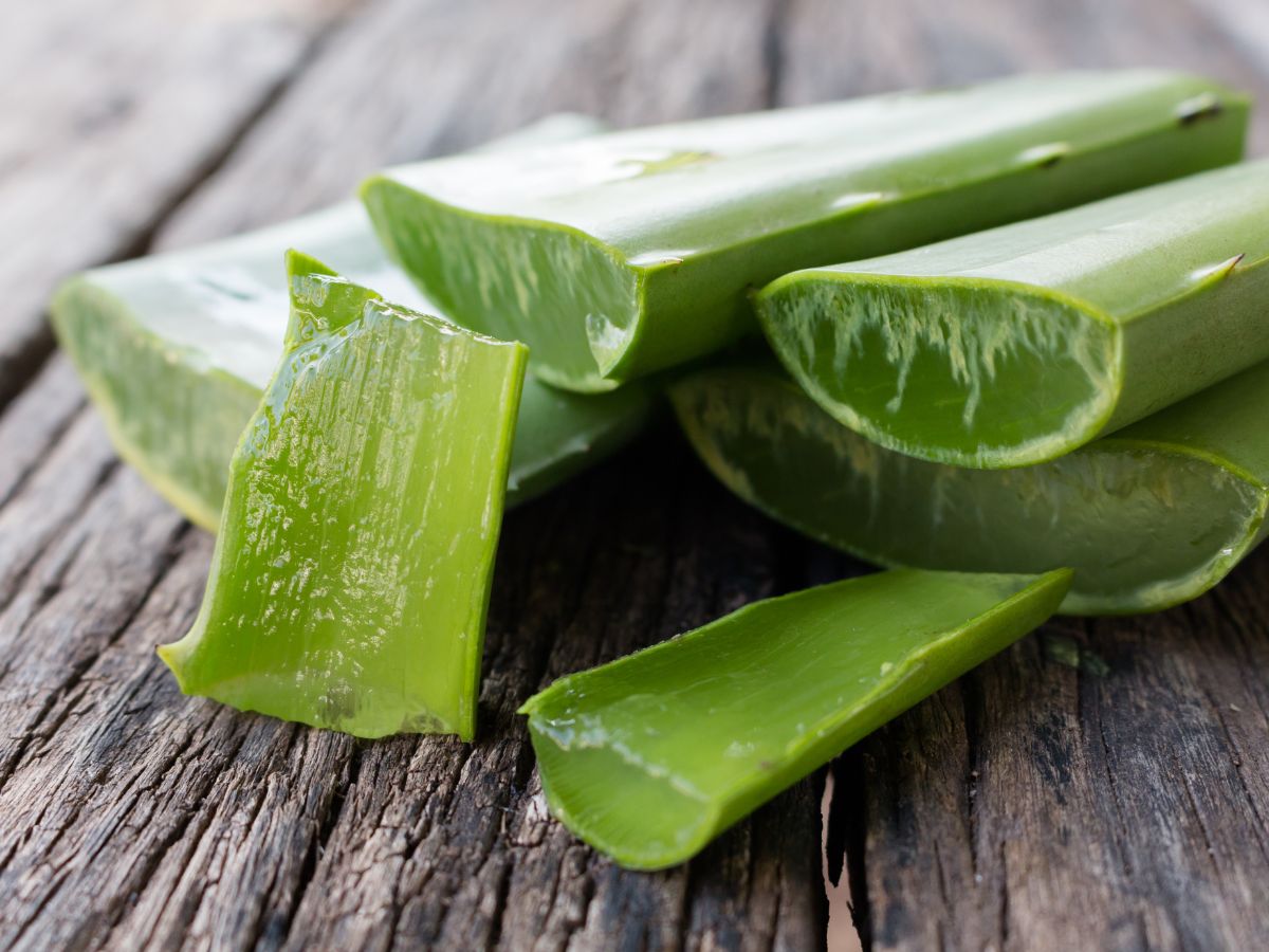 Pure Aloe Vera Gel Application