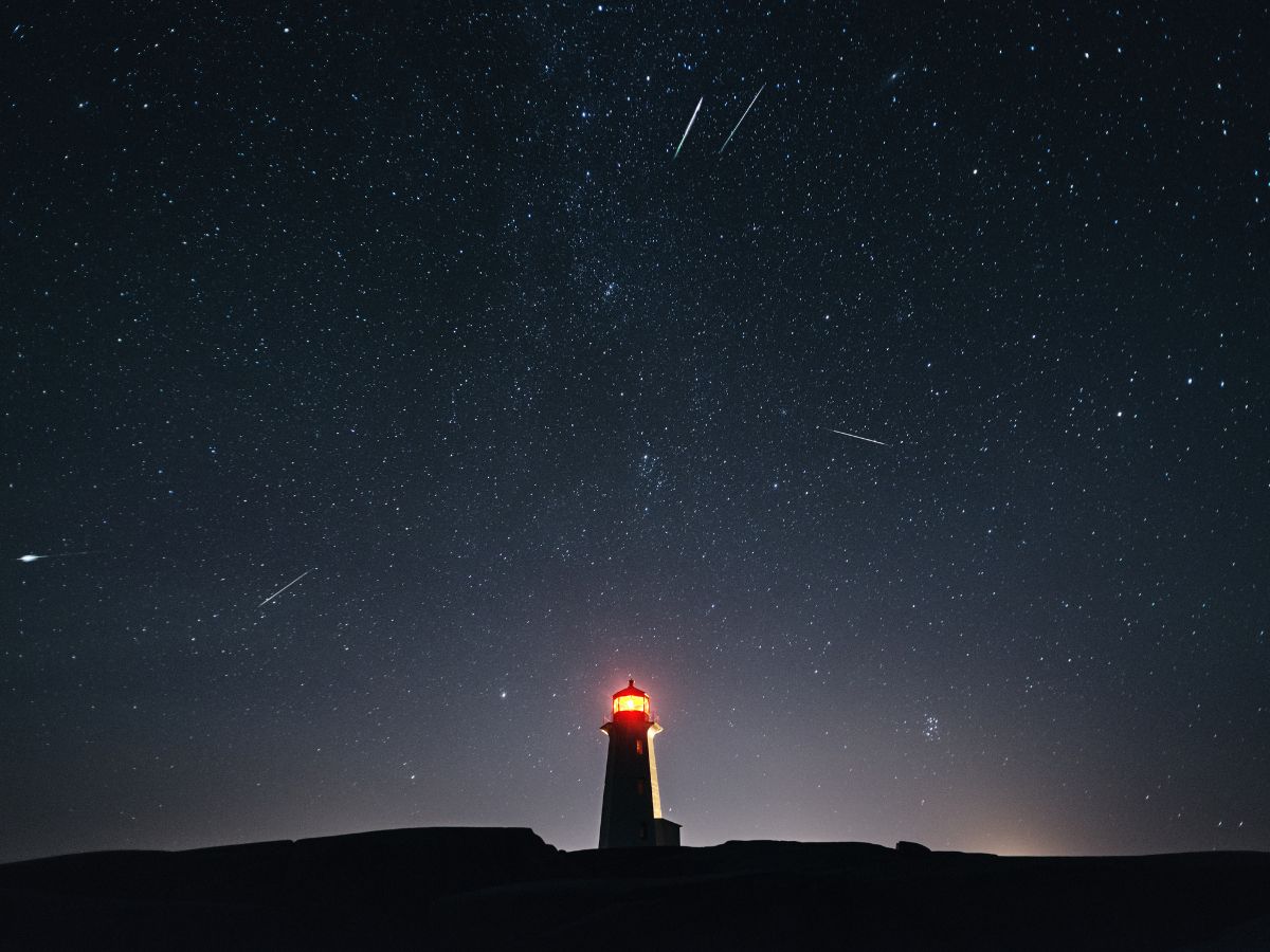 Why They Are Special