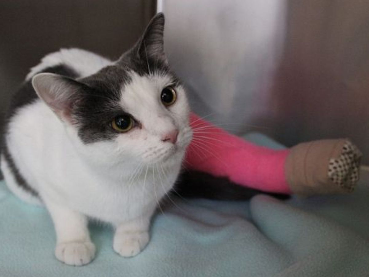 Handle fractures carefully