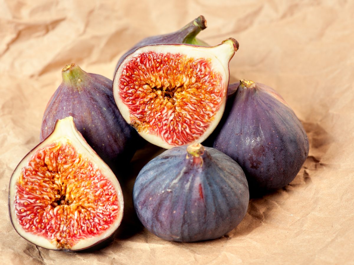 Increases Energy Levels