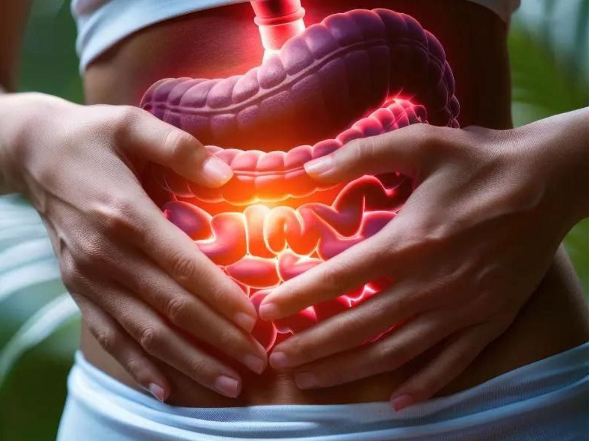 BOOSTS DIGESTIVE HEALTH