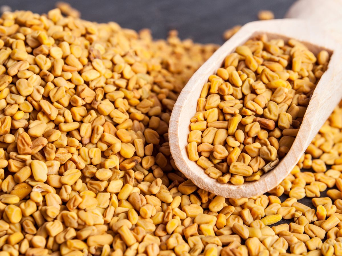 Fenugreek Seeds